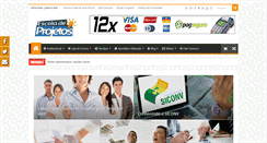 Desktop Screenshot of escoladeprojetos.net